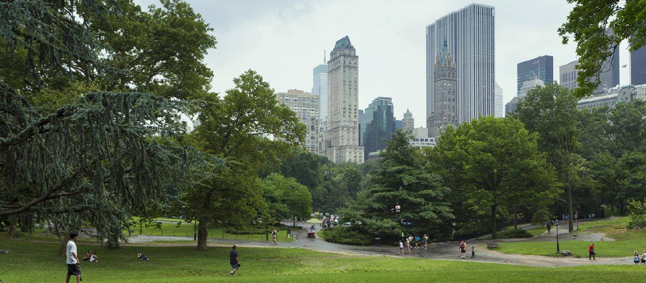 New York Central park