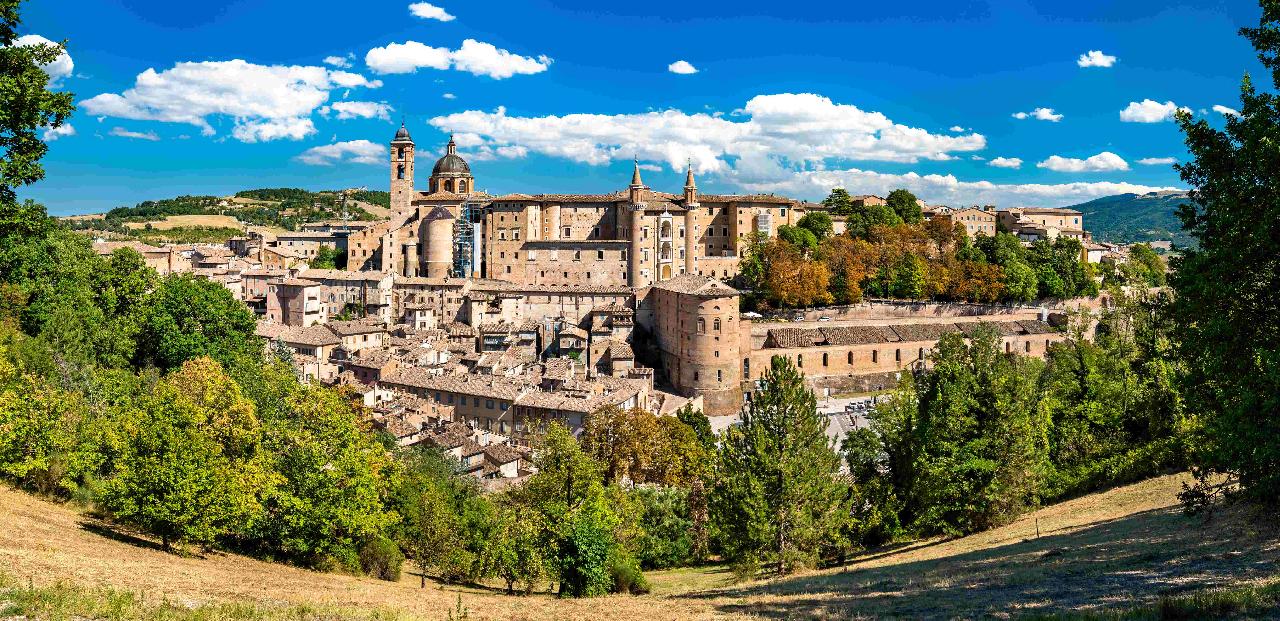 Urbino
