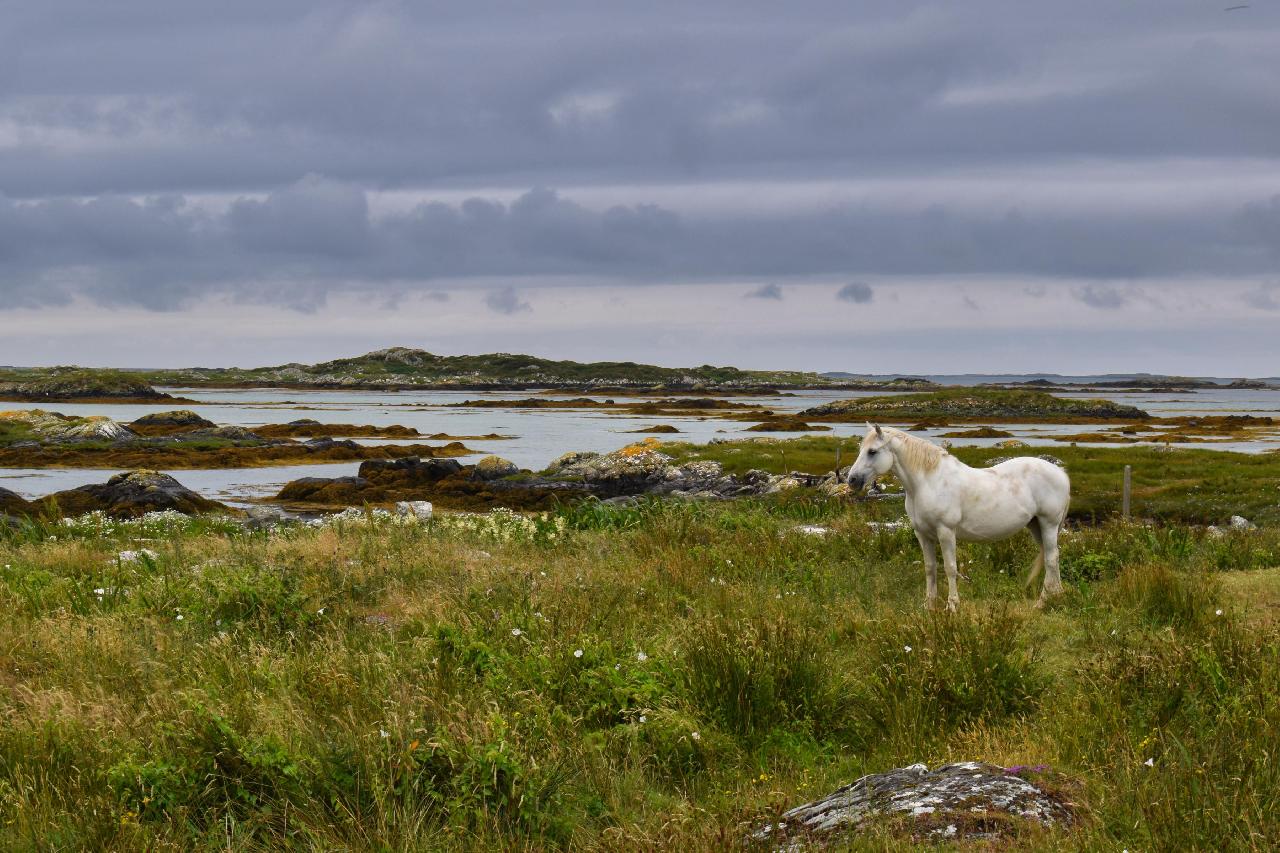 Galway