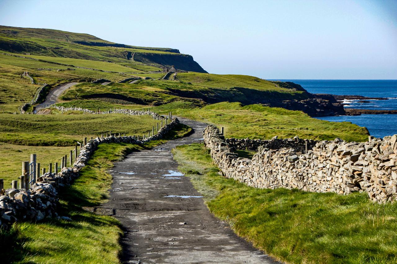 Moher