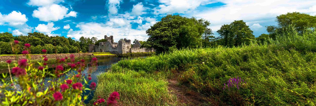 Adare